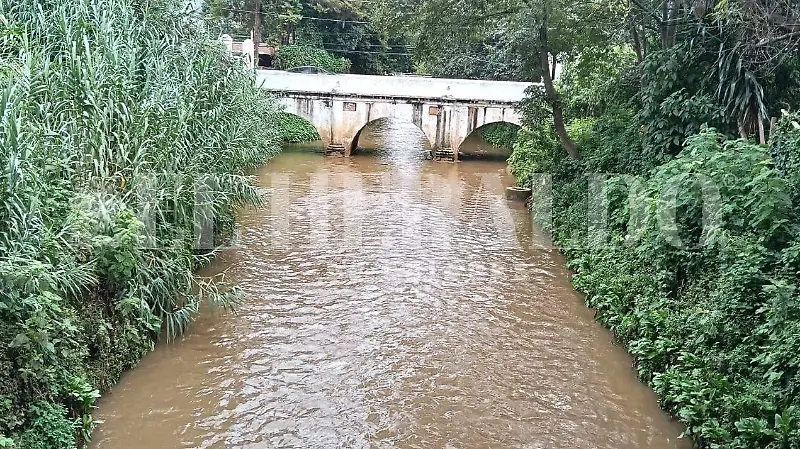 rio sancris (1)